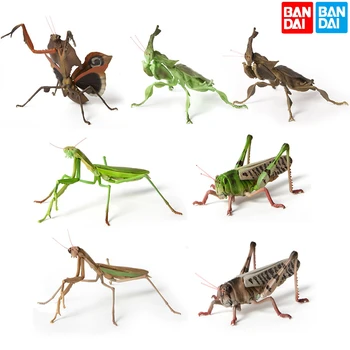 Оригинален Bandai Gashapon Голяма биологична карта Модел за симулация на насекоми Mantodea Qversion Мини играчки за действие Подаръци Колекция Орнамент
